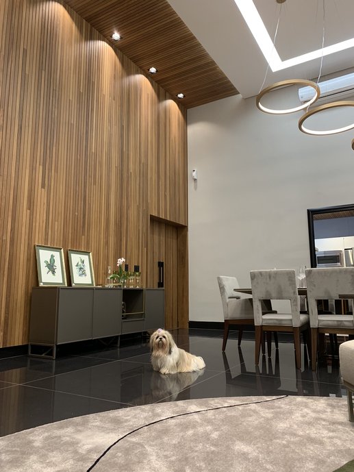 Sala de jantar - Piso: Made Graphite Polido (Portobello) - cachorro dog