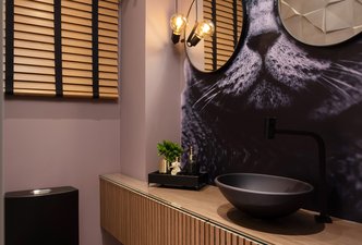 Lavabo Gato