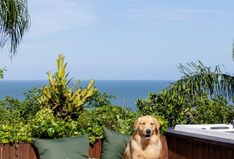 Refúgio Raízes na Praia do Rosa: A Arquitetura que Abraça a Natureza