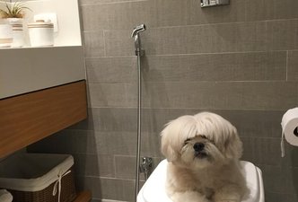 Banheiro da suite e Banheiro social