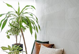 Pallet arquitetura