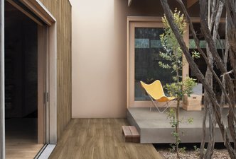 Coleção Unlimited | Araucária