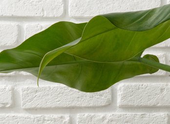 archi [lab] Karen Felix e Maira Rossi