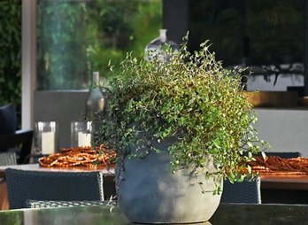 Natássia Cruz | Modullus Studio de Arquitetura