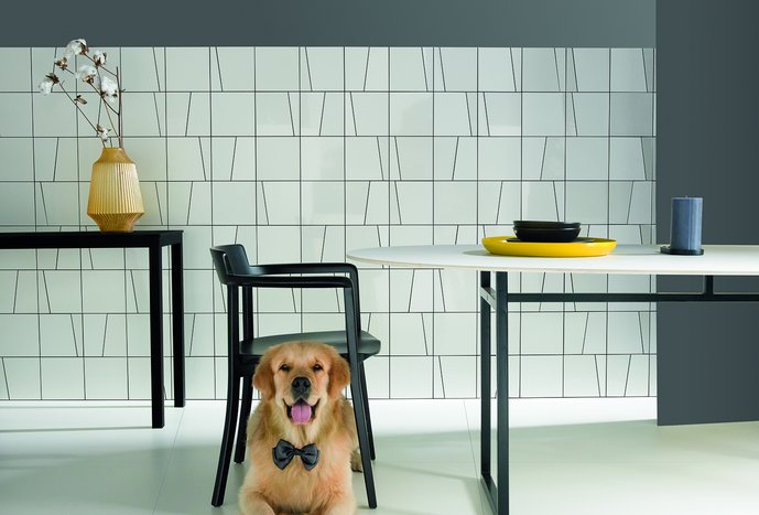 Coleção HOME & YOU | Area White